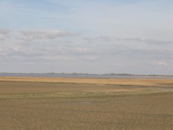 gron_018_dollard.jpg