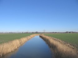gron_045_marengebied.jpg