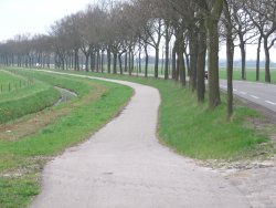kolham_009.jpg
