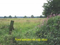 plaatje