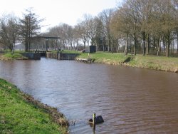 selingen_002.jpg