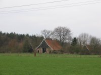 vechte-dinkel_084.jpg